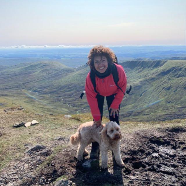 hari-farzin-2.jpeg?center=0.715,0